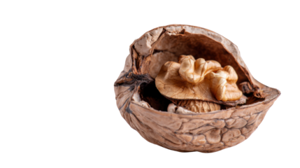 Walnut kernel in cracked shell isolated on white background