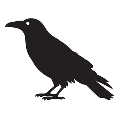 Fototapeta premium Black Silhouette of a Raven Bird Profile on White Background