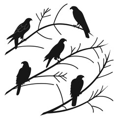 A collection of five black silhouettes of birds of prey perched on bare tree branches against a white background creating a graphic and minimalist design