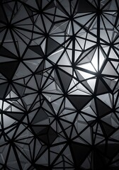 Intricate geometric structure of triangles and lines in monochrome shades