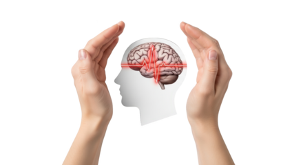 Hands Protecting Human Brain with EKG Line abstract illustration design inspired by Hands Protecting
