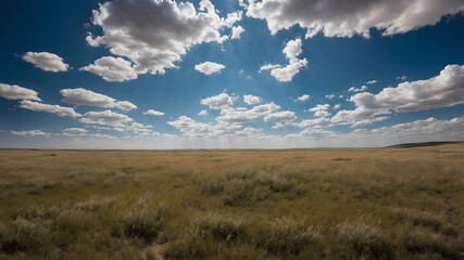 Fototapeta premium Vast open field remote landscape nature photography blue sky background wide angle view tranquil concept