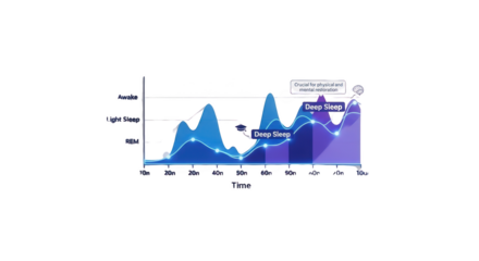 Sleep Cycle Graph Showing Deep Sleep Stages abstract illustration design inspired by Sleep Cycle