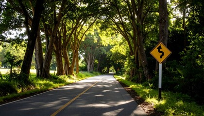 Asphalt road through a lush tree tunnel, with a road sign indicating curves. Sunlight filters, creating shadows