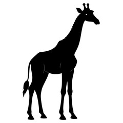 Obraz premium Black giraffe silhouette