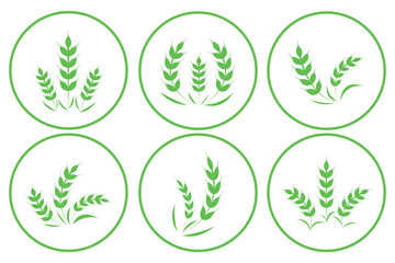 Wheat spikes, barley sheaf with grain set in circle. Ear of Wheat, Barley or Rye. Vector icon isolated on white background. Agriculture wheat Logo Template vector icon design.