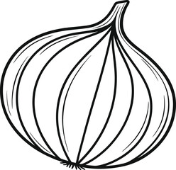 Single realistic onion vegetable illustration. Fresh onion bulb isolated artwork. Realistic onion healthy food design. Onion vegetable farm fresh illustration. Organic onion realistic bulb artwork