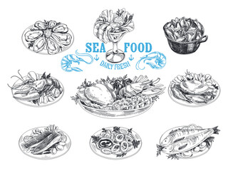 set of hand drawn flowers