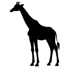 Simple giraffe silhouette