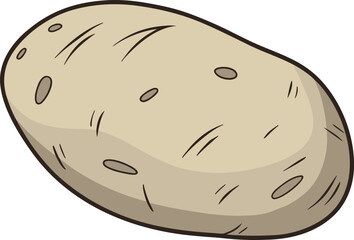 Single realistic potato vegetable illustration. Fresh potato isolated farm produce artwork. Realistic potato root vegetable design. Potato vegetable healthy food illustration. Organic potato realistic