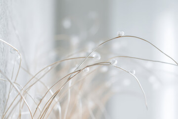 delicate swirling thin lines resembling tree branches create intricate pattern on clean background