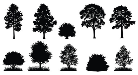 various tree silhouettes displayed in rows and columns