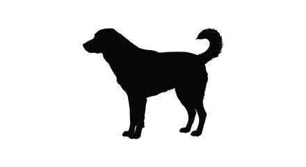 a black silhouette of a standing dog against white background