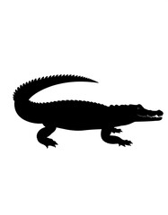 Obraz premium Crocodile silhouette, wildlife, swamp, nature, illustration
