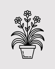 flower in pot