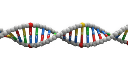 Detailed 3d rendering of a vibrant dna double helix structure representing genetic code and life's building blocks transparent background