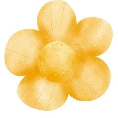yellow flower illustation