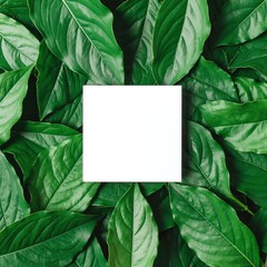 A vibrant arrangement of lush green leaves elegantly encircled by a crisp white square frame, creating a striking contrast and a fresh, modern aesthetic.