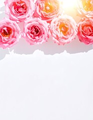 A delicate arrangement of soft pink roses gracefully rests on a pristine white background, offering ample copy space for text or branding.