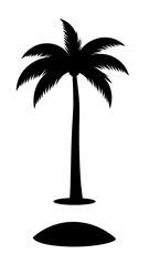 Silhouette of a palm tree on a beach