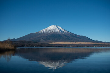 山中湖から望む富士山