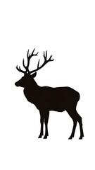 Obraz premium Majestic Deer Silhouette, Forest, Nature