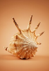 Fototapeta premium Seashell in Focus: An eye-level view of a detailed seashell with a complex and beautiful shape, texture, and form against the backdrop of a soft, inviting gradient.