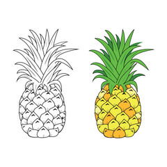Pineapple Fruit Black and White and Colored Vector &ndash; Tropical Fruit Illustration