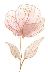 vector illustration of a flower