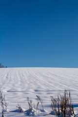 青空と雪が積もった冬の畑
