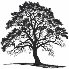 Obraz premium Vector Tree Illustration 