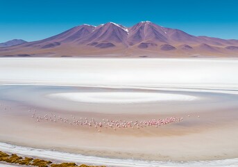 Aerial View: Pink Flamingos on Salt Flat, Volcanic Mountain Background