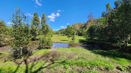 Coombabah Lakelands Conservation Area, Queensland Australia
