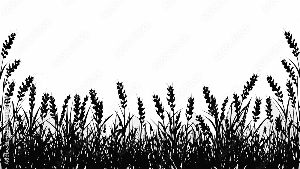 Poster vector silhouette of a field with tall grass and seed heads against a white background creating a na
