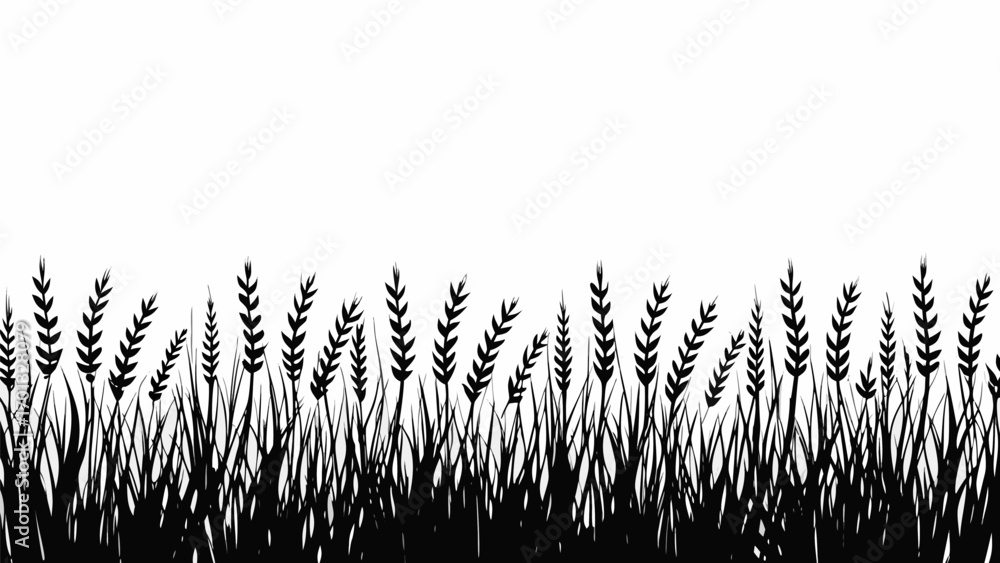 Poster vector silhouette of grass and wheat plants creating a border against a white background in a simple