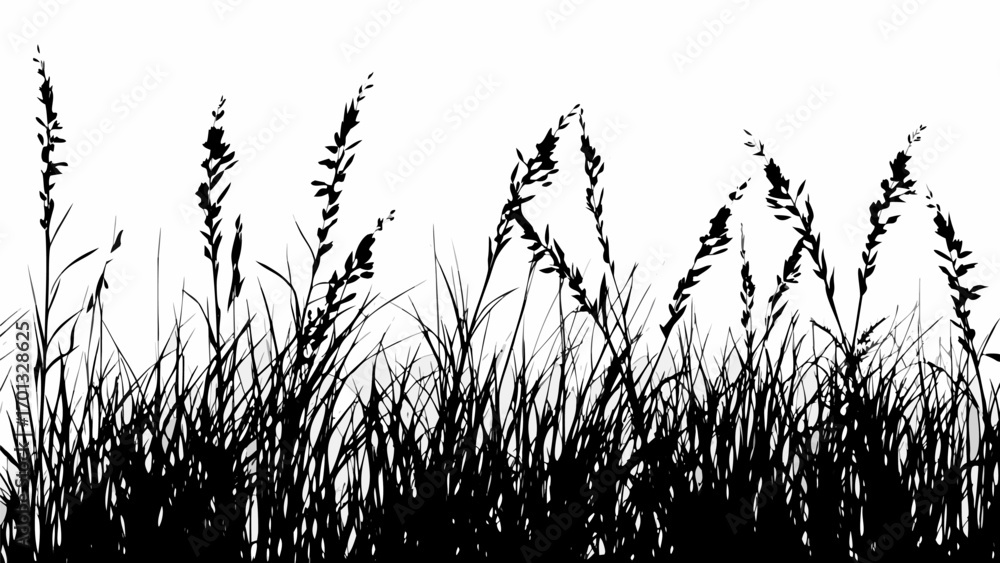 Poster vector silhouette of tall grass and weeds against a white background creating a natural and simple l