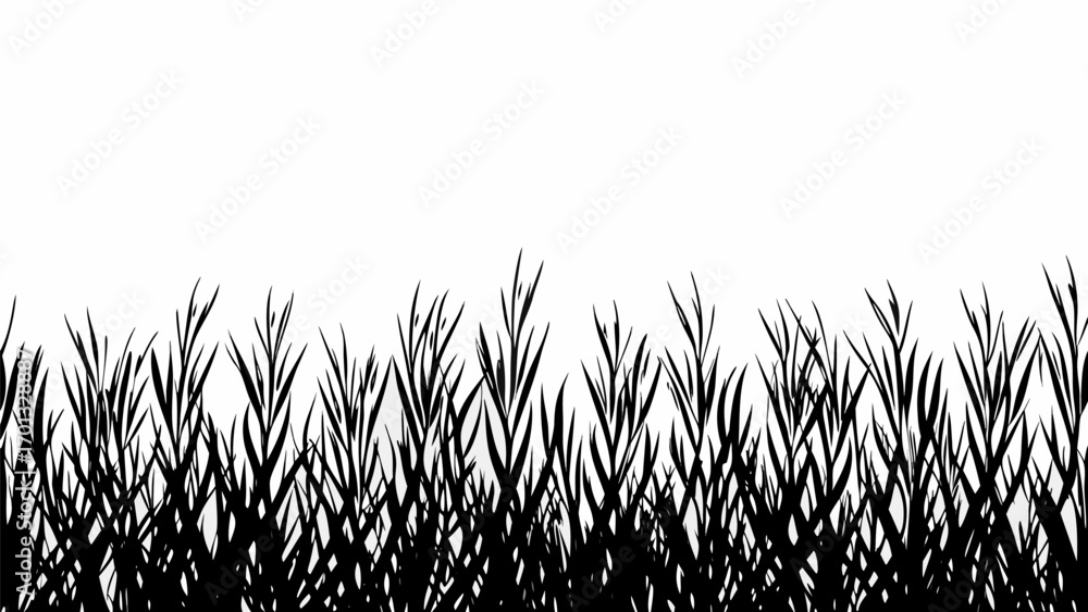 Poster vector silhouette of dense grass blades against a white background creating a natural border effect 