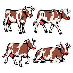 Set of Colorful Cow Vector Illustrations