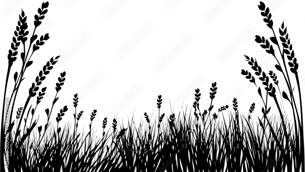 Poster vector silhouette of grass and wheat plants in a field against a white background creating a nature 