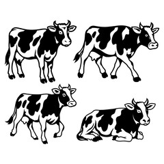 Set of Black and White Cow Vector Illustrations
