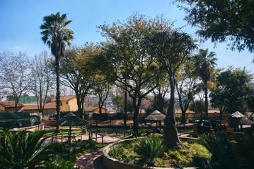 A beautiful urban park in Johannesburg, South Africa, featuring lush green lawns, mature trees, walking paths, and serene spaces for relaxation