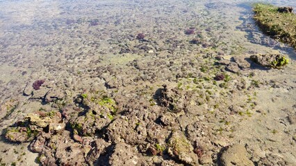 Shallow Coastal Waters with Rocky Seabed and Clear Surface