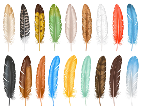 https - -www.freepik.com-premium-vector-vector-realistic-feathers-color-set-with-isola  