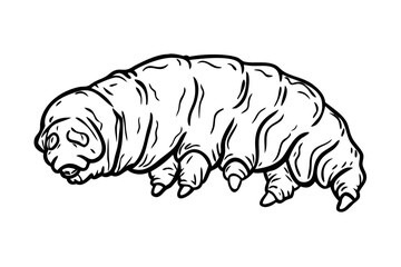 Detailed illustration of a tardigrade, also known as a water bear