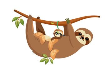 Cute cartoon illustration of a mother sloth and baby sloth hanging on a branch