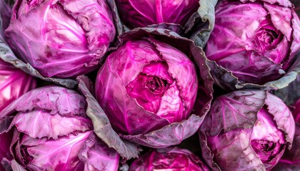 Obraz premium Close-up of vibrant, freshly harvested red cabbages, showcasing their rich purple hues and natural texture, ideal for healthy eating and culinary themes.