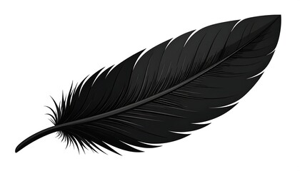 Black feather illustration (1)