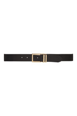 Elegant black leather belt with gold buckle fashion accessory studio shot