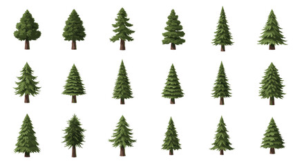 Obraz premium Collection of various evergreen trees with different shapes and sizes.