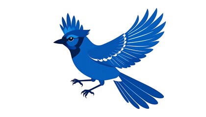 Obraz premium Blue jay in flight